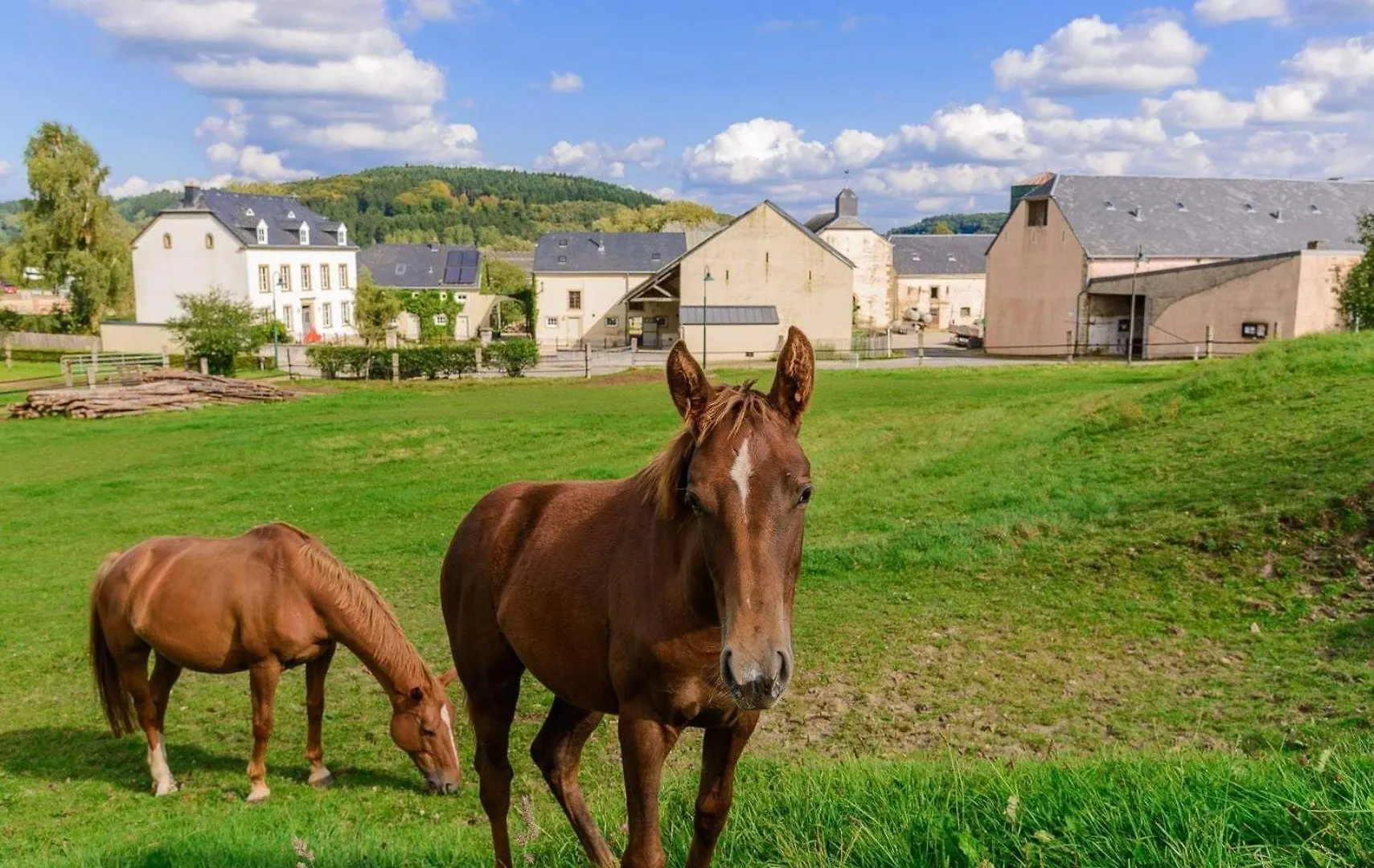 Cottage House Weyer Horse&Groom Room Accommodatie bij particulieren